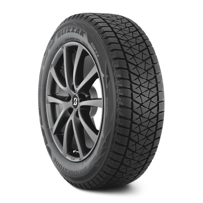 Шина Bridgestone Blizzak DM-V2